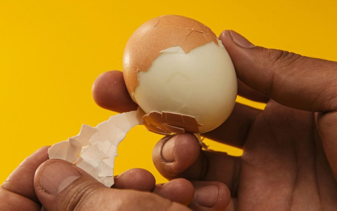 Pode congelar ovo cozido? Entenda o que acontece e qual a melhor forma de fazer isso